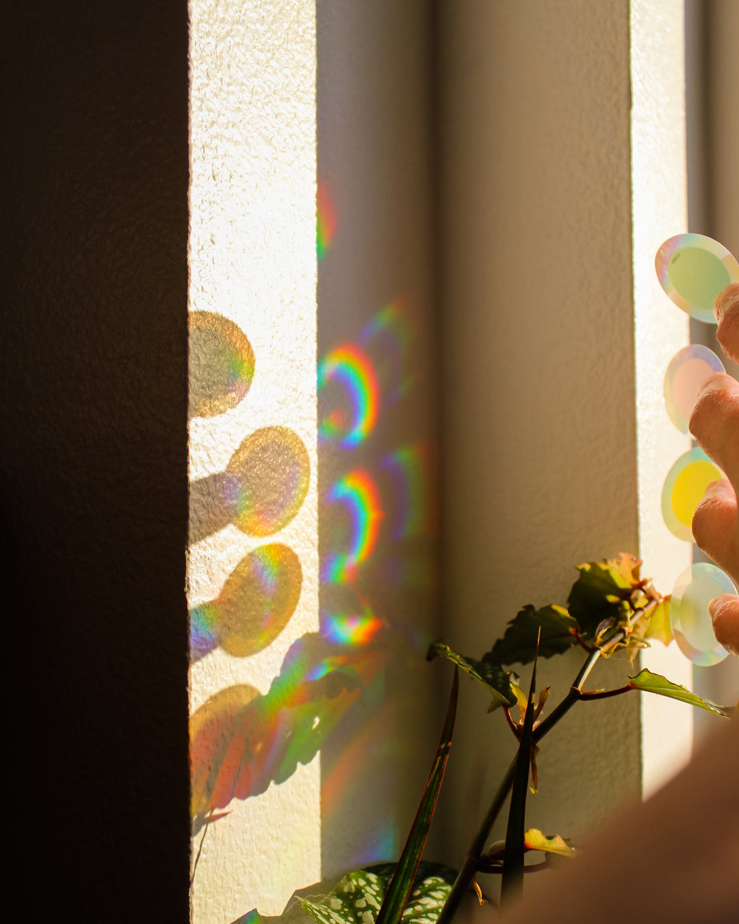 Suncatcher Dots