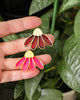 Echinacea Pins