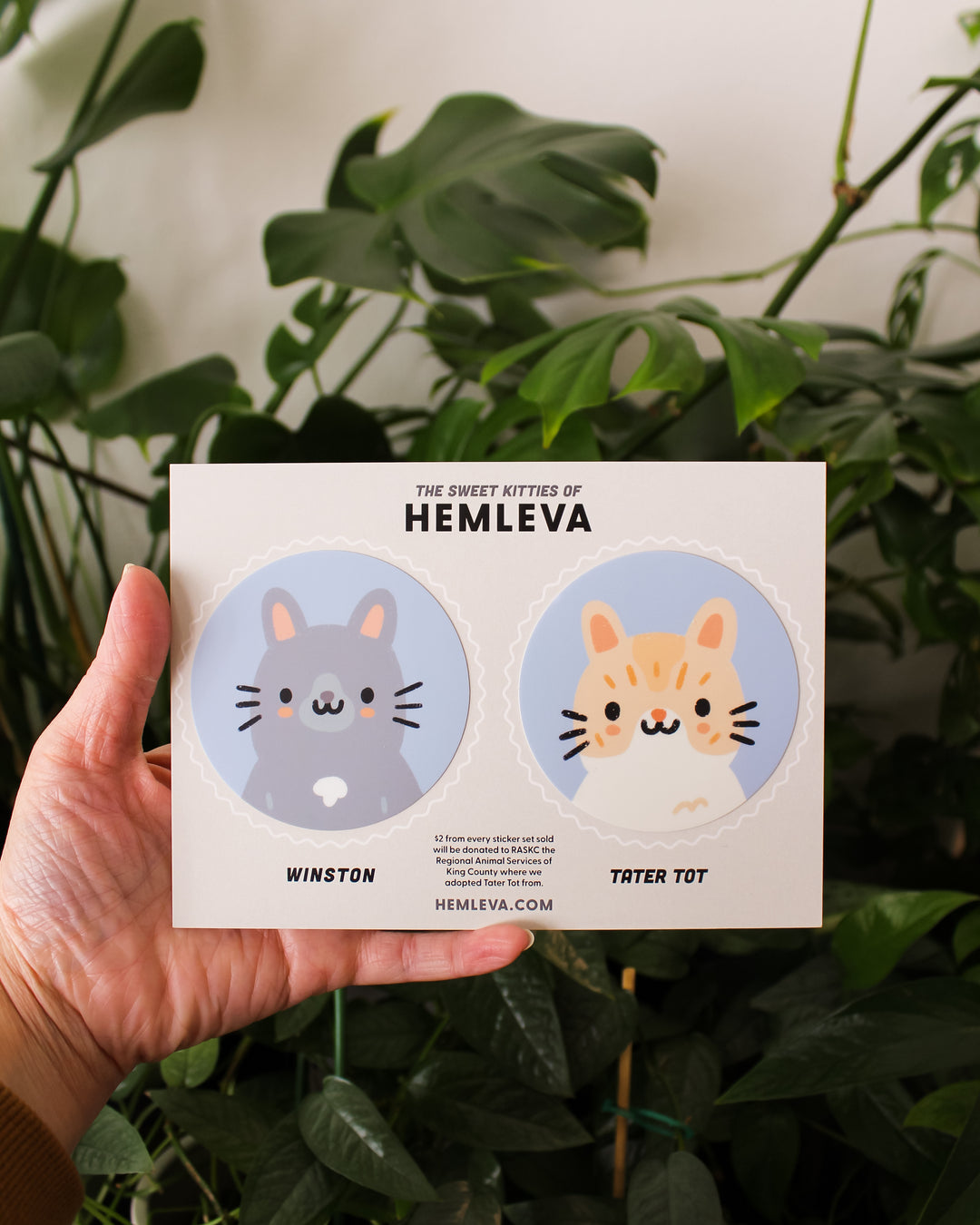 Kitties of HEMLEVA Stickers
