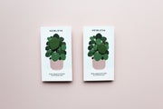 Pilea • The Friendship Plant Pins