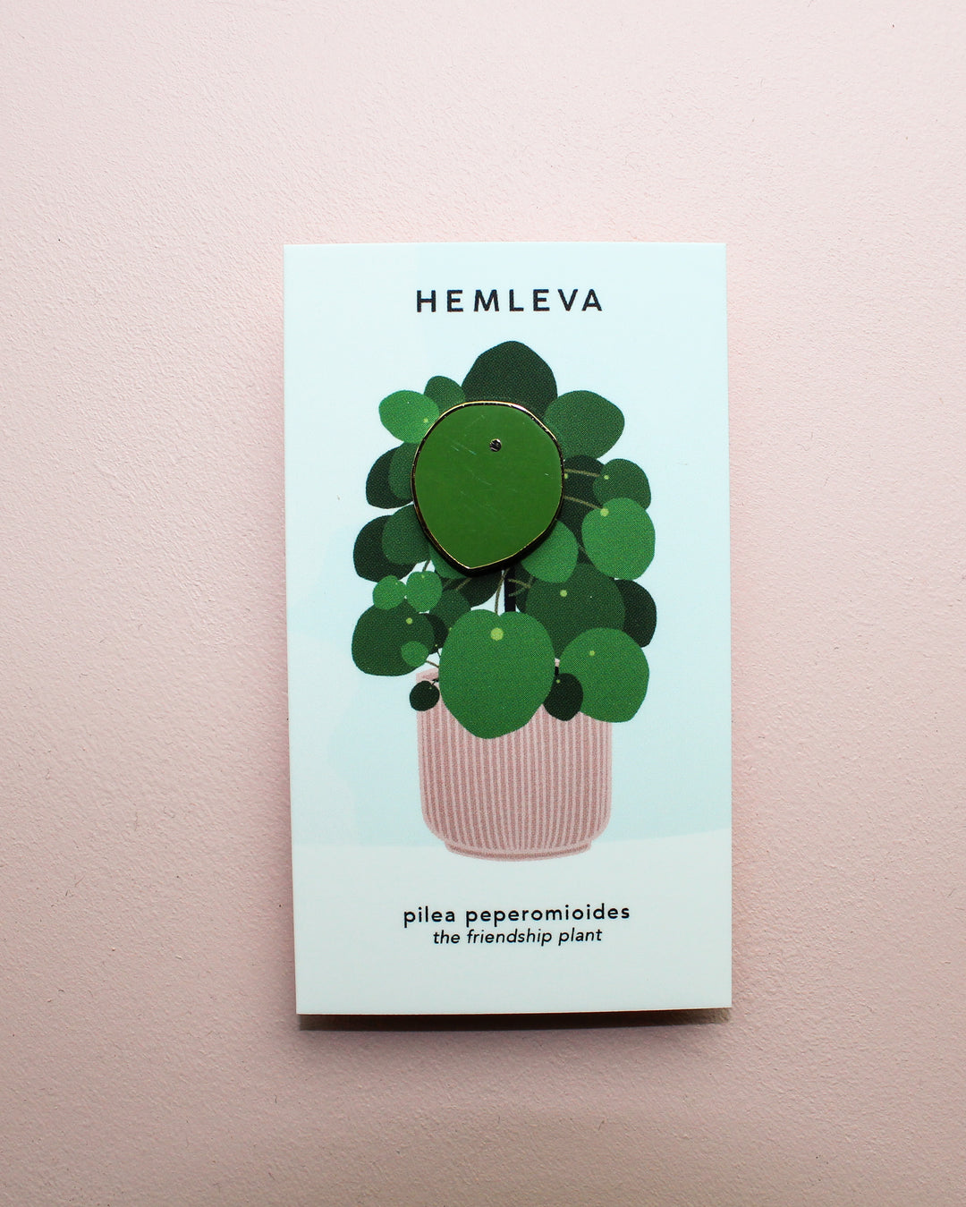 Pilea • The Friendship Plant Pins