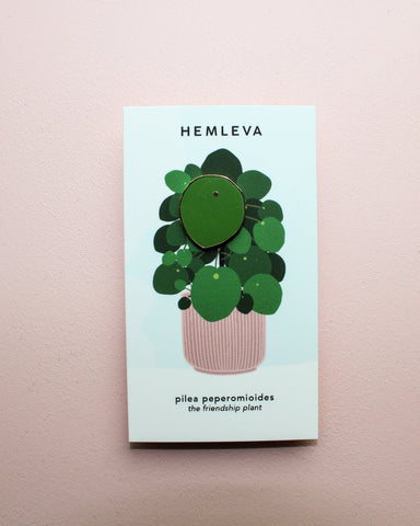 friendship money plant Pilea Pins • The Friendship Plant – HEMLEVA
