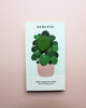 Pilea • The Friendship Plant Pins