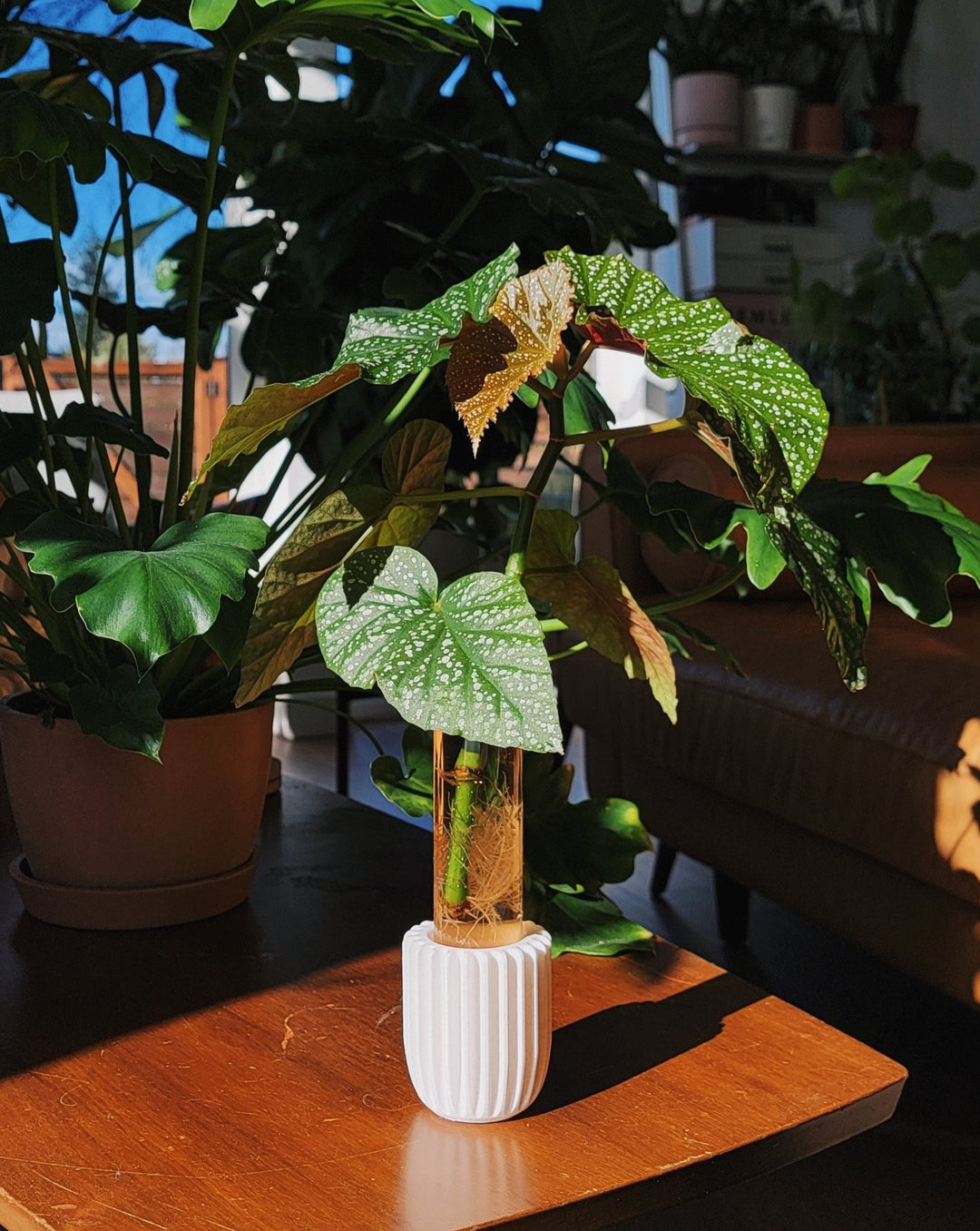 Plant Propagation Stands • Glass Vial Only