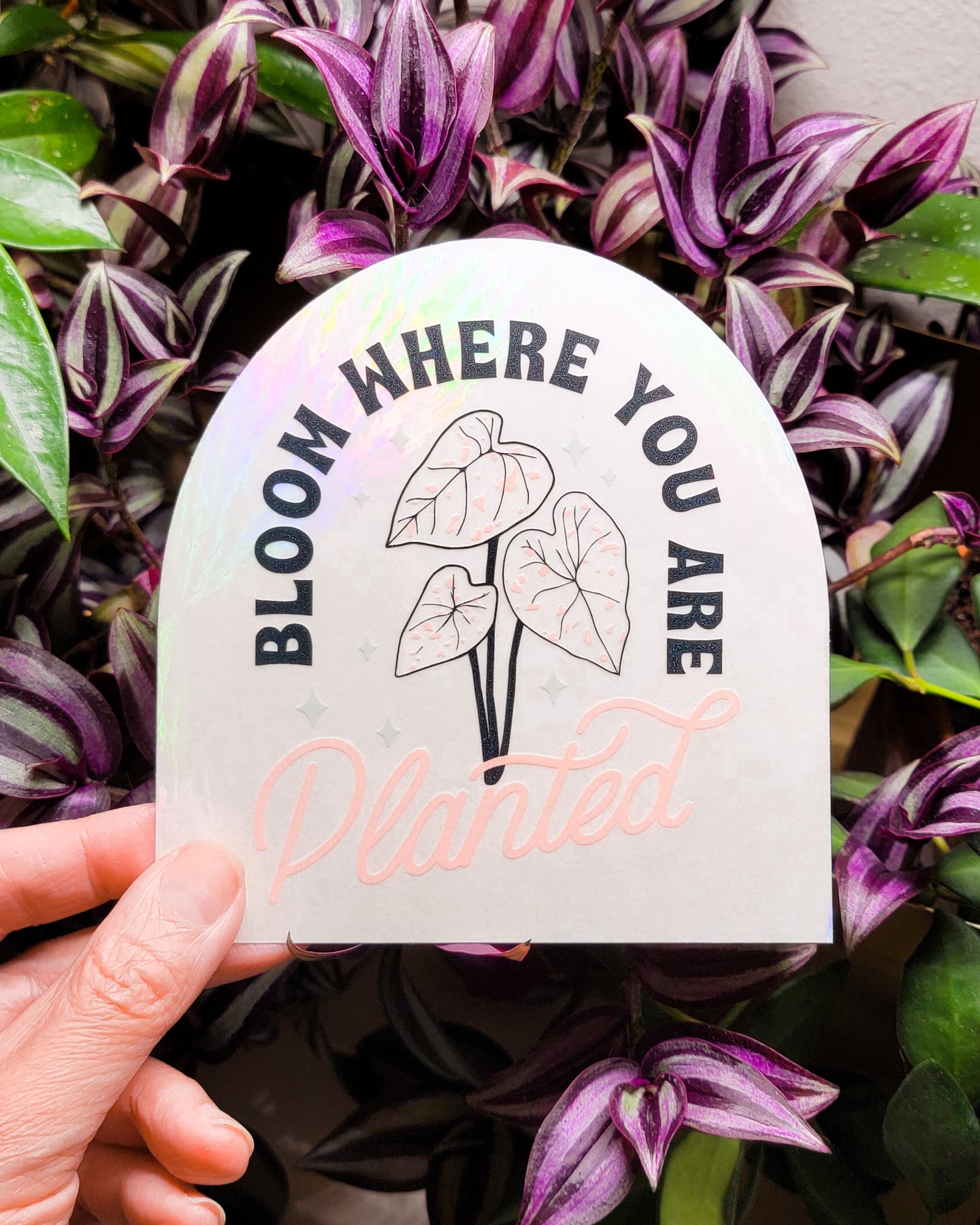Bloom Where You Are Planted • Suncatcher – HEMLEVA