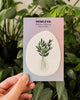 Olive Branch Suncatcher • Card Insert