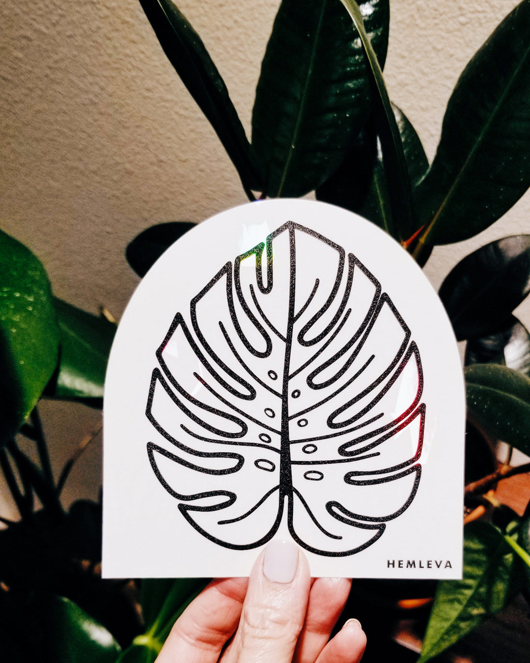 Monstera Suncatcher • Medium Sized