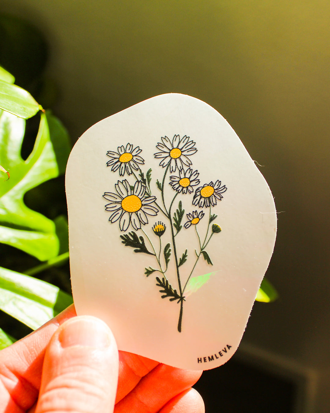 Daisy Suncatcher • Card Insert Sized