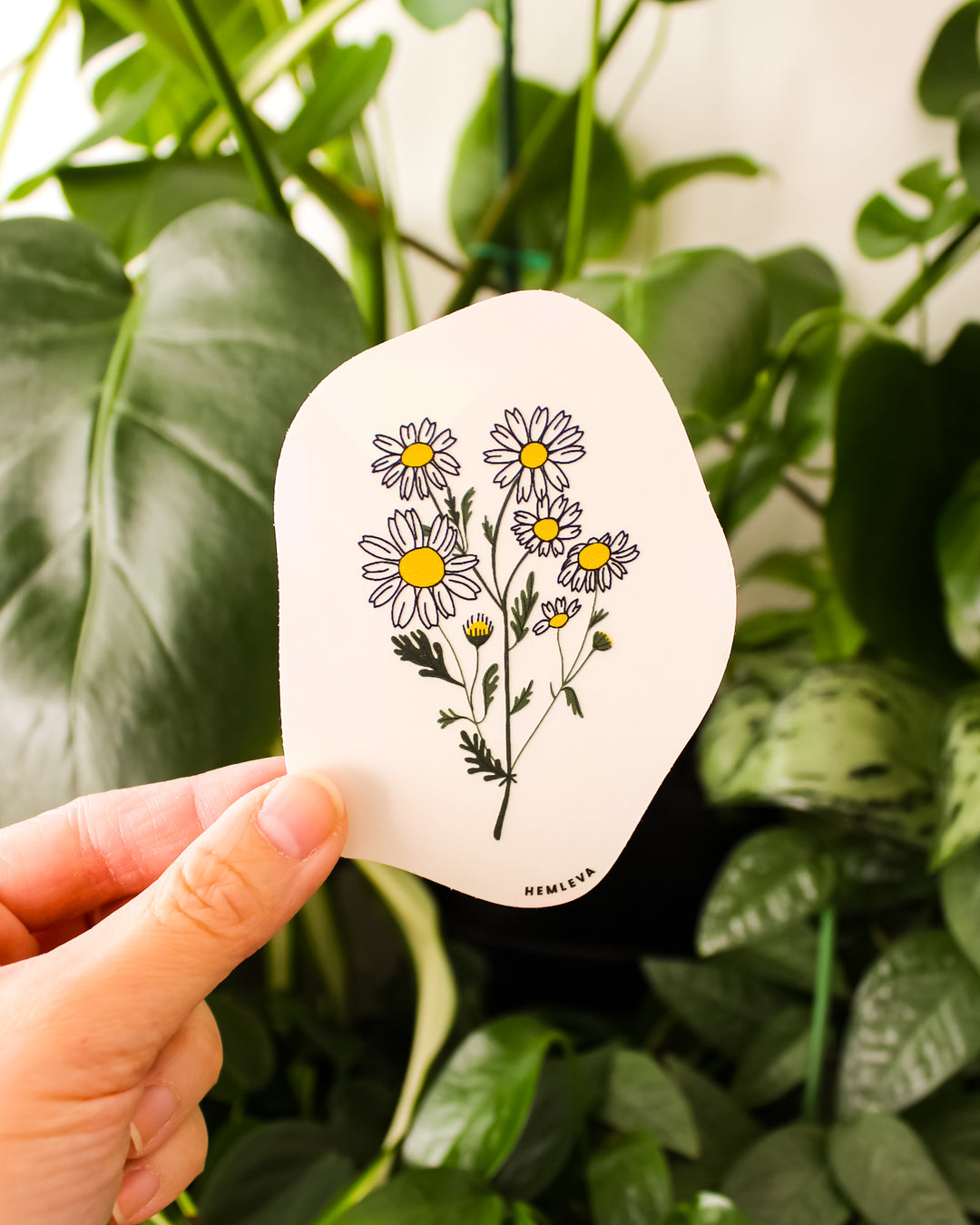 Daisy Suncatcher • Card Insert Sized