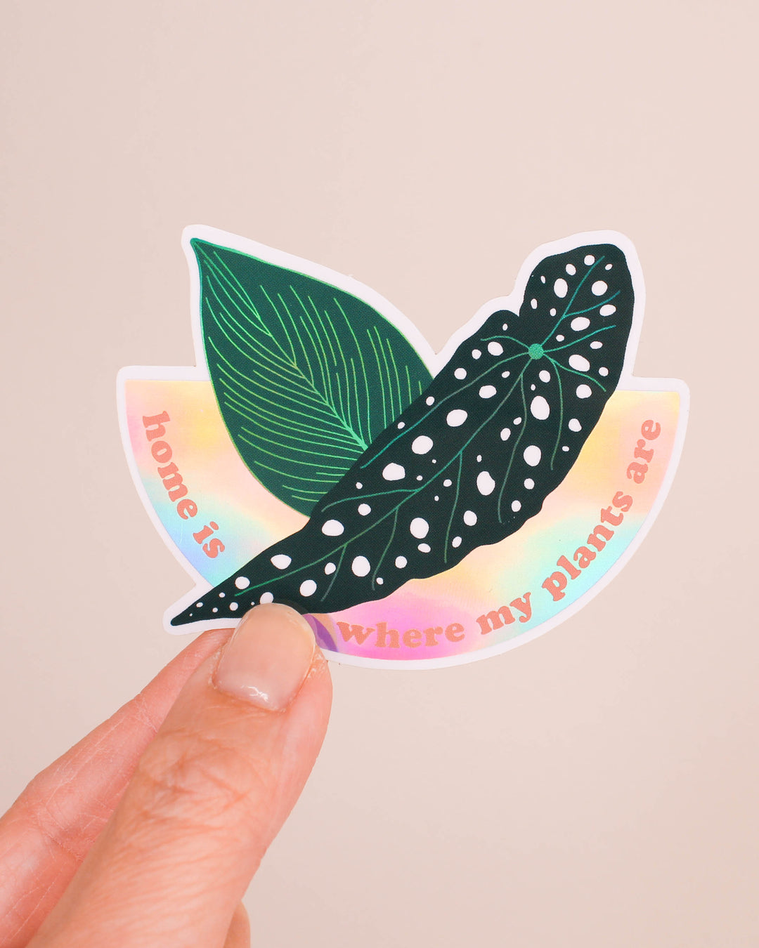 Home is Where My Plants Are • Holographic Sticker
