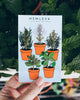 Culinary Herbs Pin Pack