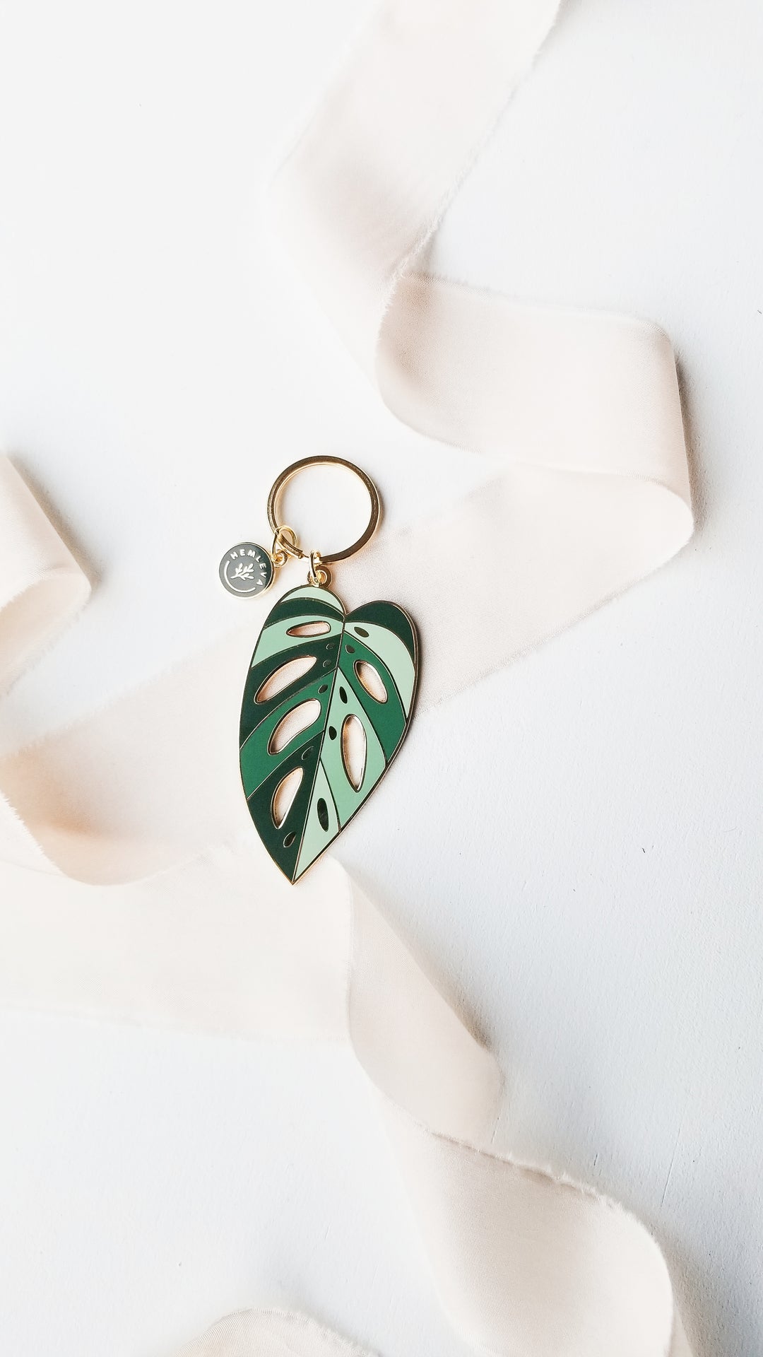 Monstera adansonii &