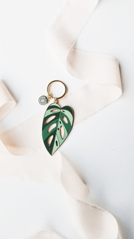 monstera adansonii archipelago for sale Monstera adansonii 'Archipelago' • Keychain
