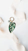 Monstera adansonii 'Archipelago' • Keychain