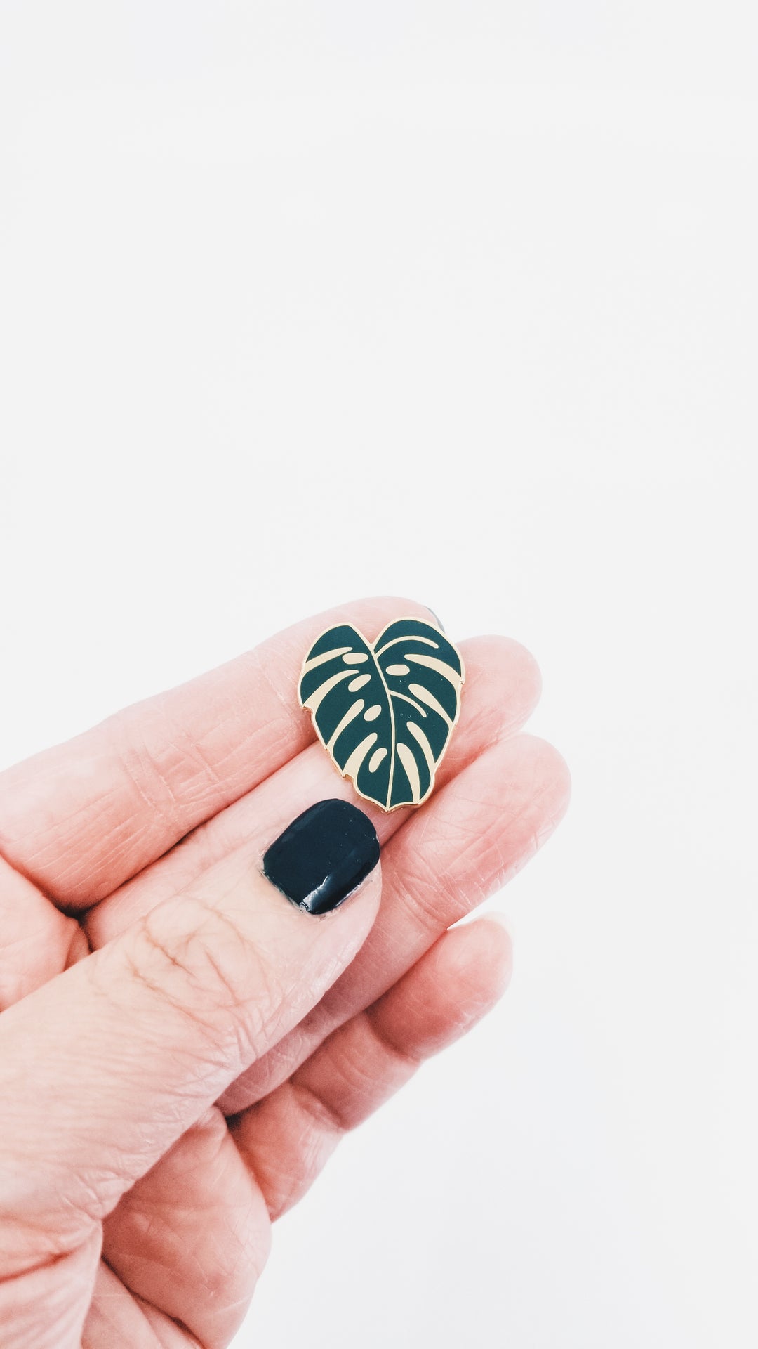 Monstera