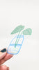 Monstera Propagation • Sticker