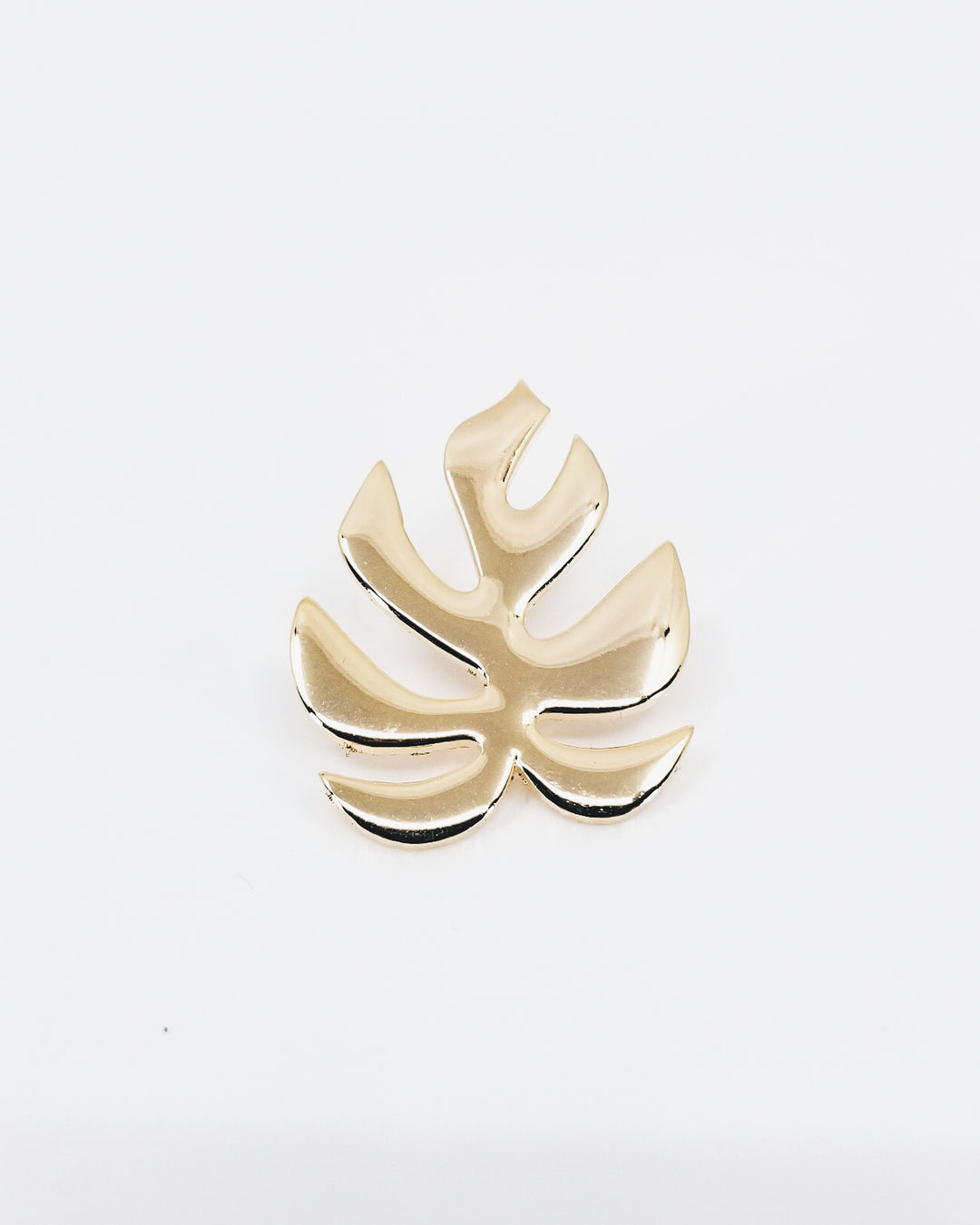 Rhaphidophora tetrasperma • Monstera "Ginny"