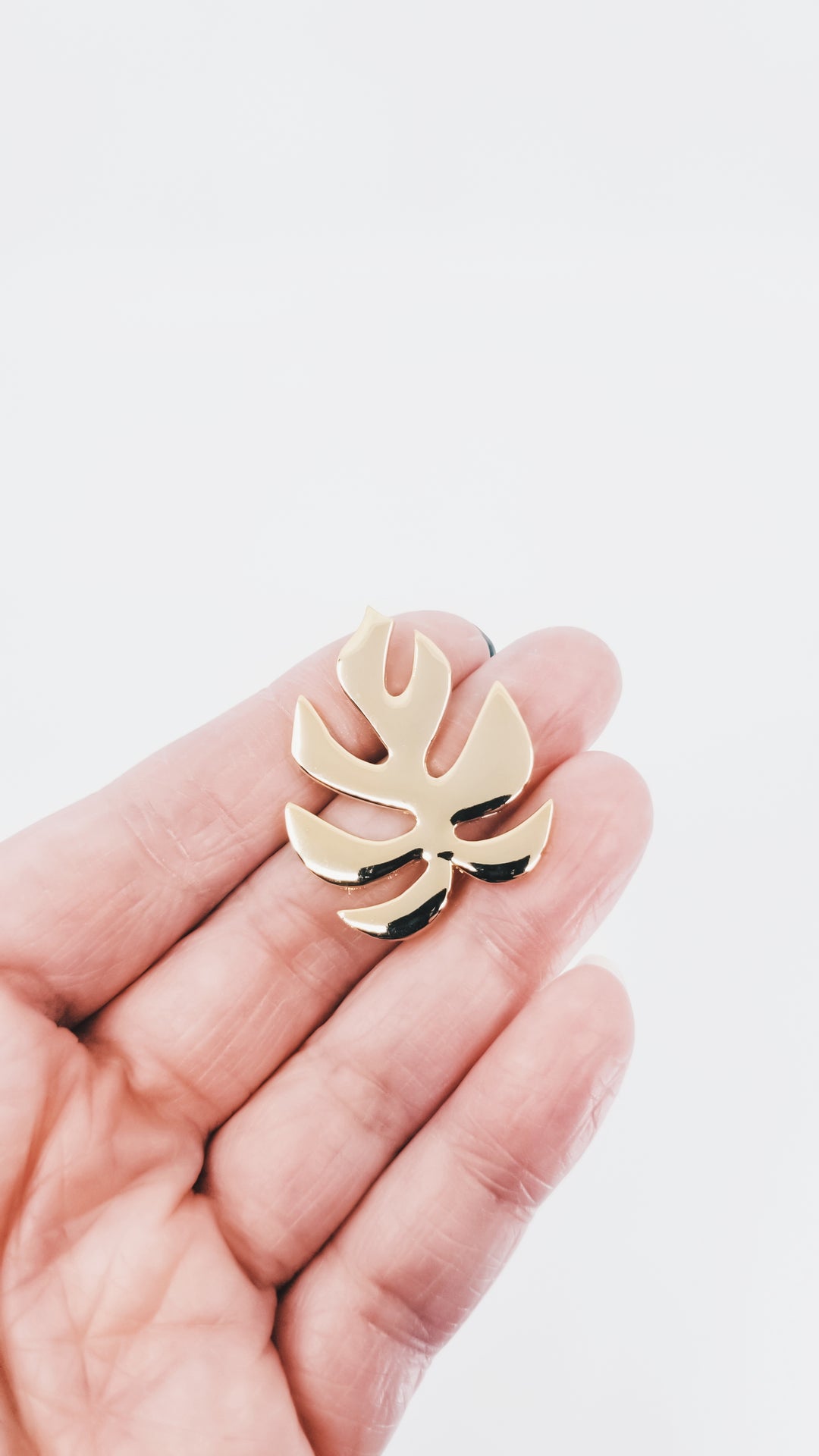 Rhaphidophora tetrasperma • Monstera "Ginny"